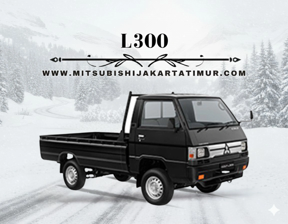 L300